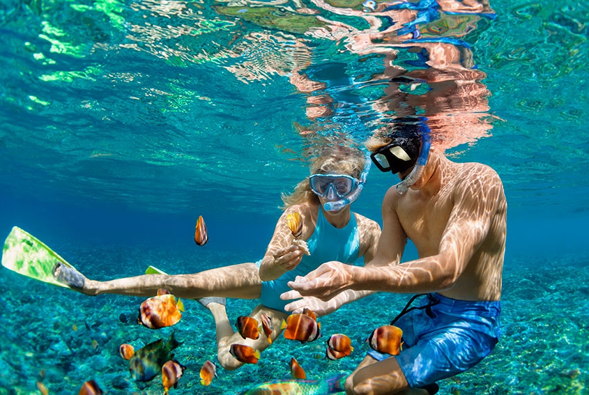 Snorkeling