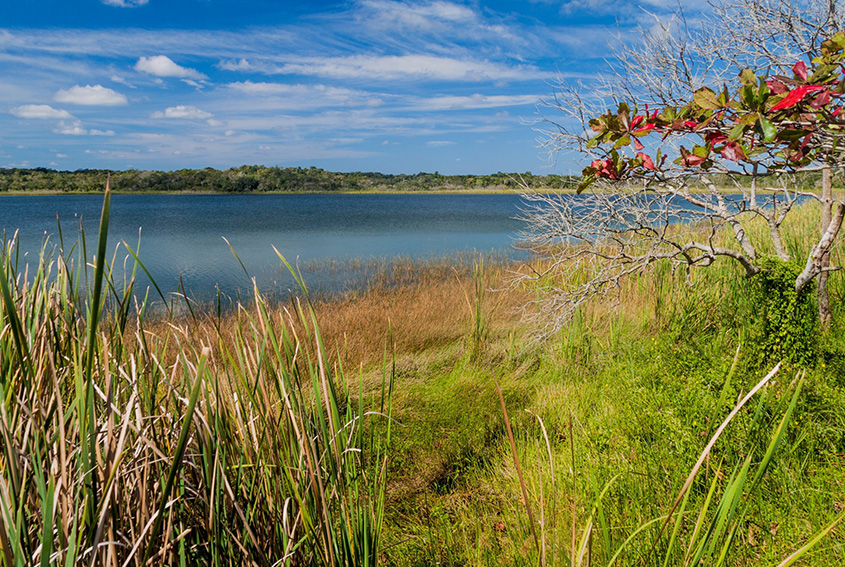 Punta Laguna