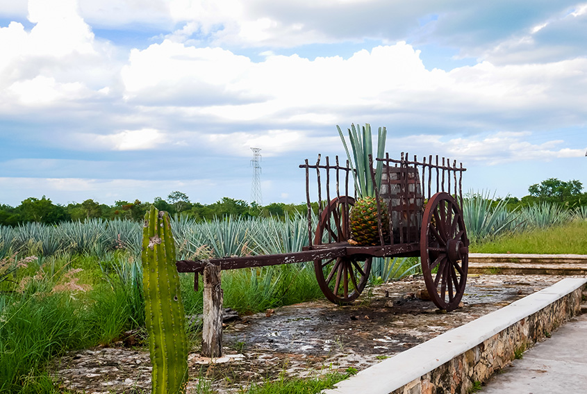 Distillery