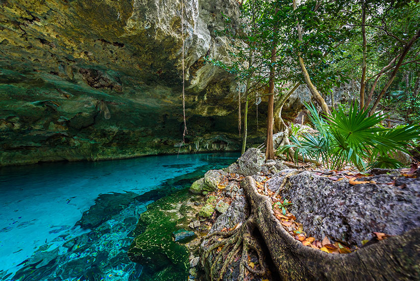 Cenote Dos Ojos, Tulum