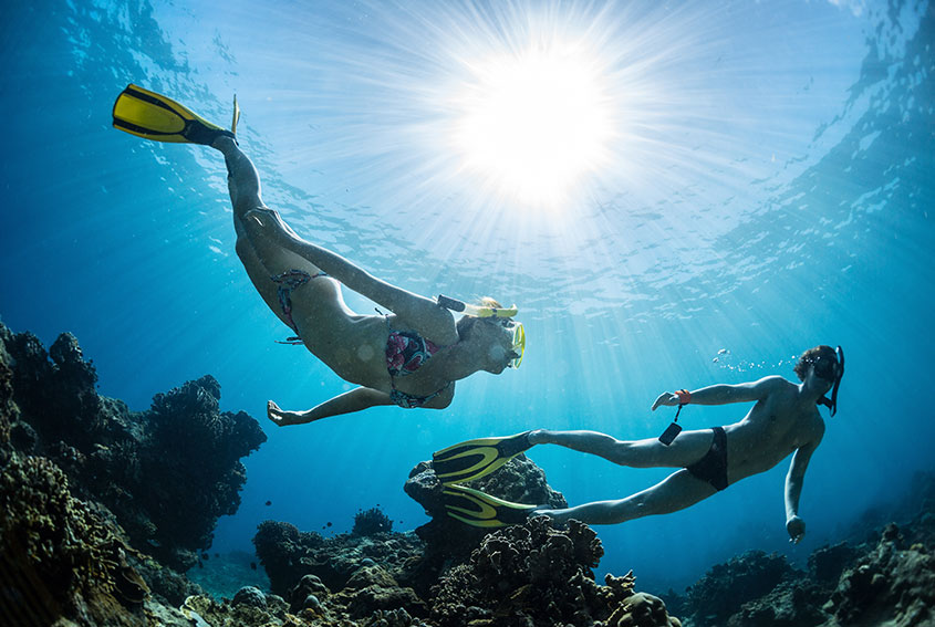 Snorkeling over coral reef