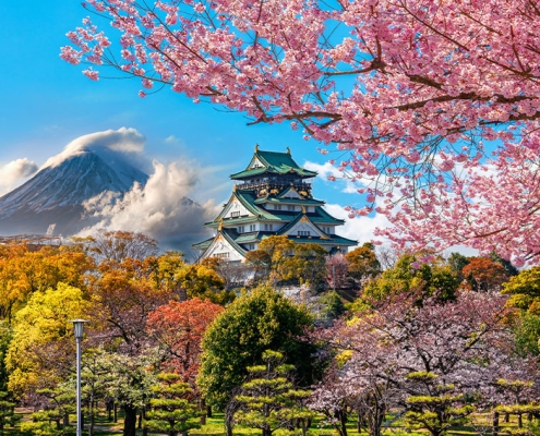 Osaka Castle and Fuji mountain, Japan