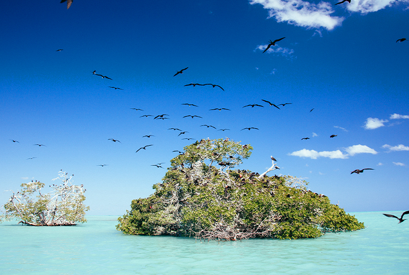 Sian Ka’an Biosphere Reserve