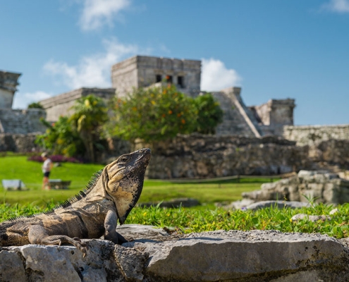 Tulum